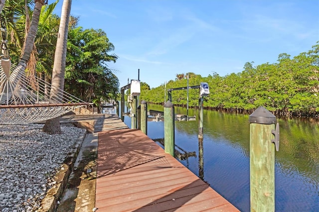 dock area with a water view