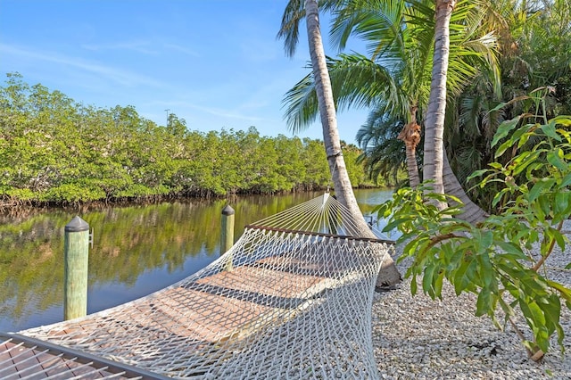 dock area featuring a water view