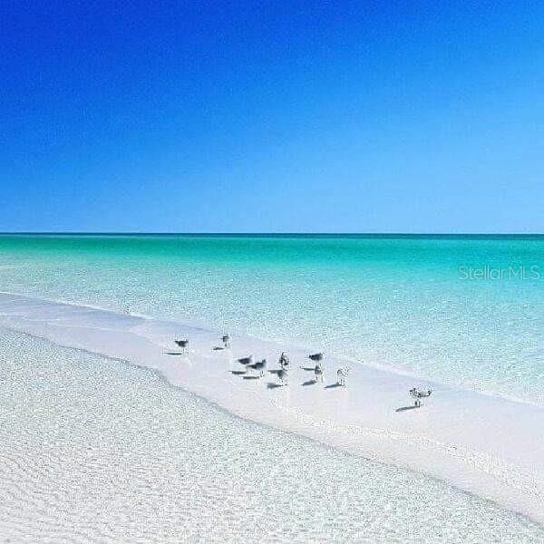 water view featuring a beach view