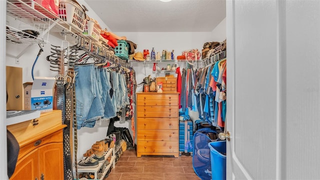 walk in closet featuring wood-type flooring