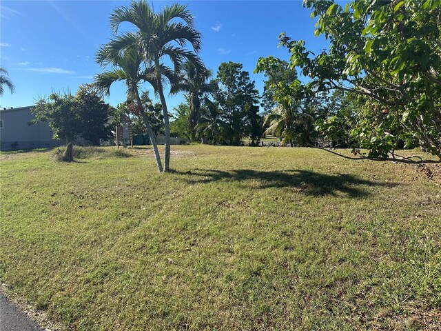 4401 Pelican Pointe Dr, Punta Gorda, FL 33950 - photo 3