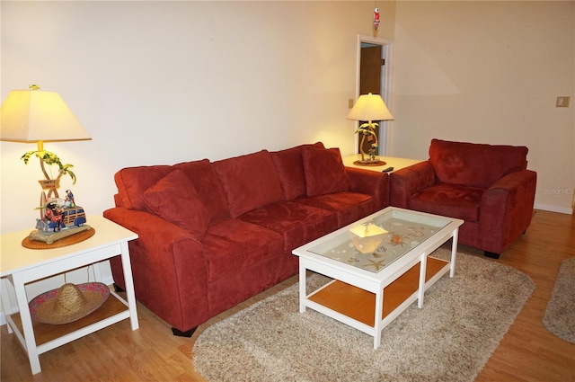 living room featuring wood-type flooring