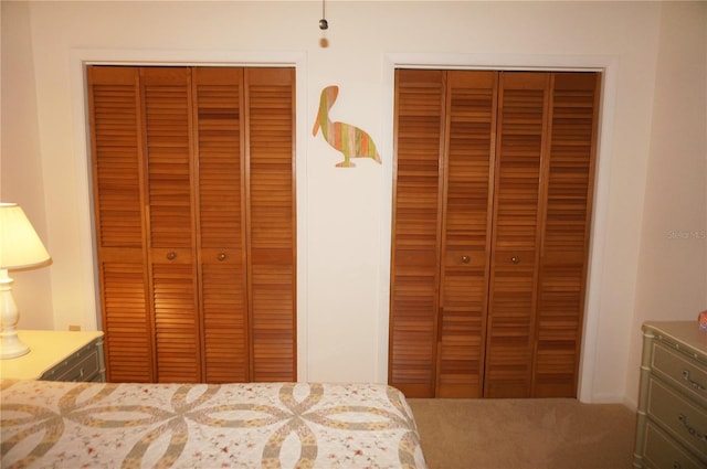 carpeted bedroom with two closets