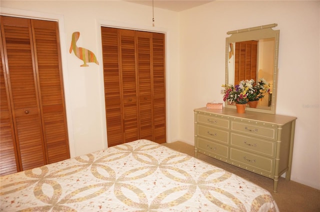 carpeted bedroom with two closets