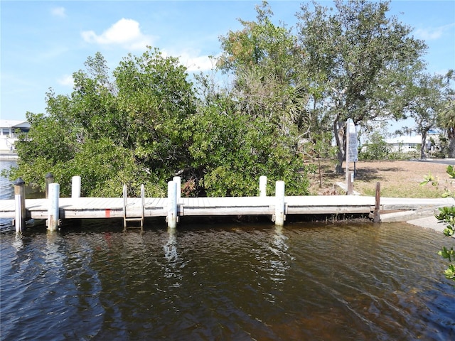 dock area featuring a water view