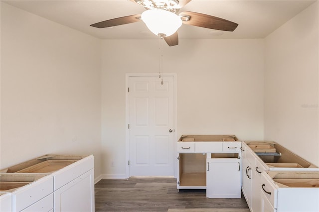 interior space featuring ceiling fan and dark hardwood / wood-style floors