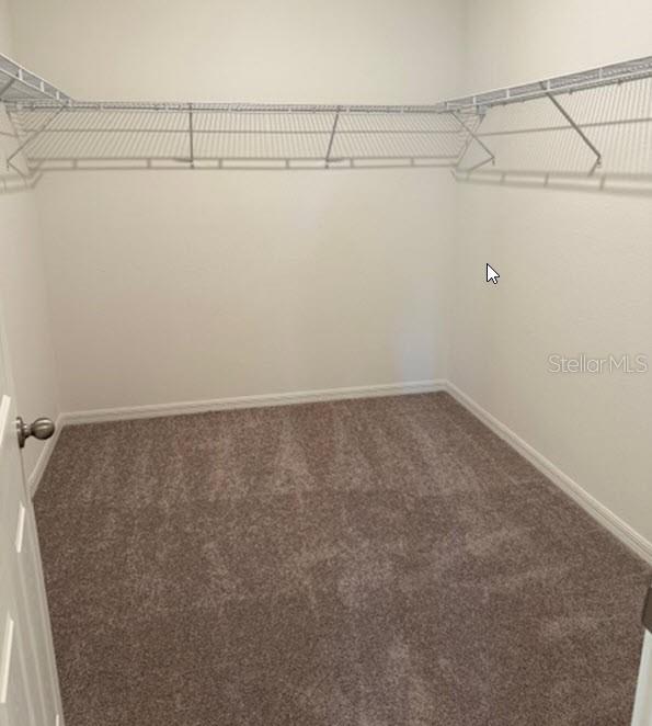 walk in closet featuring dark colored carpet