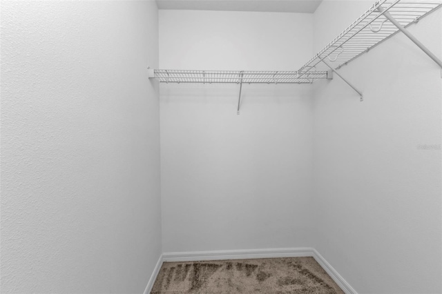 spacious closet with carpet flooring