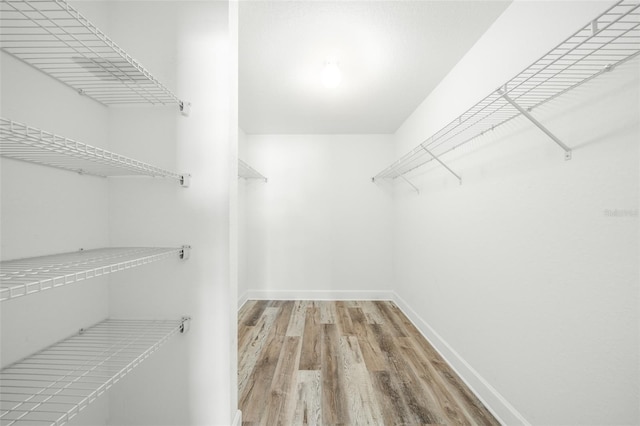 walk in closet featuring wood-type flooring