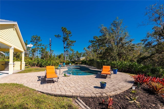 view of pool with a patio area and a hot tub