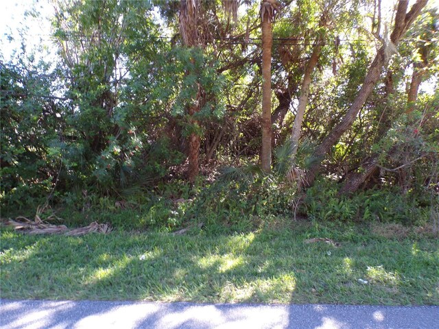 368 Mccabe St, Port Charlotte, FL 33953 - photo 12