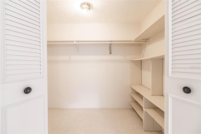 view of walk in closet