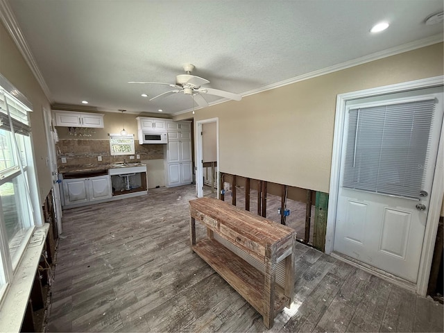 interior space with dark hardwood / wood-style floors, ceiling fan, and ornamental molding