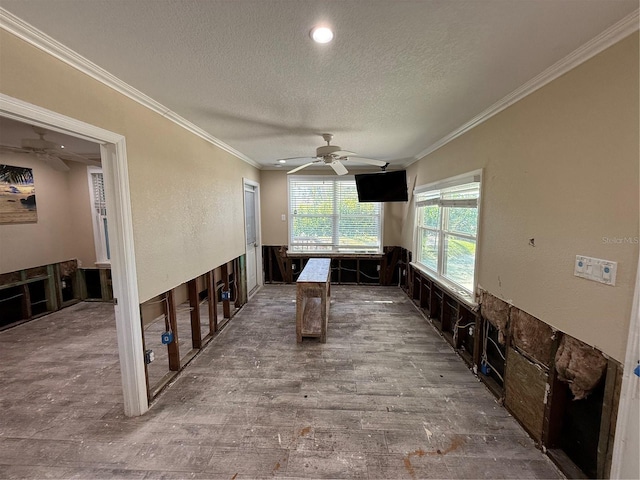 kitchen featuring hardwood / wood-style floors, ceiling fan, ornamental molding, a textured ceiling, and dark brown cabinets