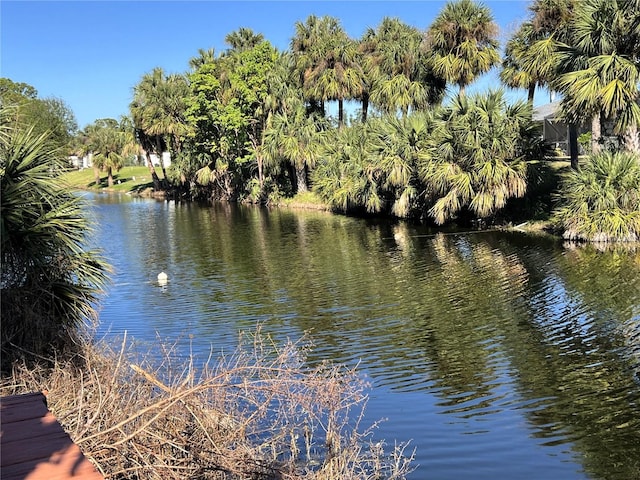 1196 Hinton St, Port Charlotte, FL 33952 - water view featuring a tree filled landscape