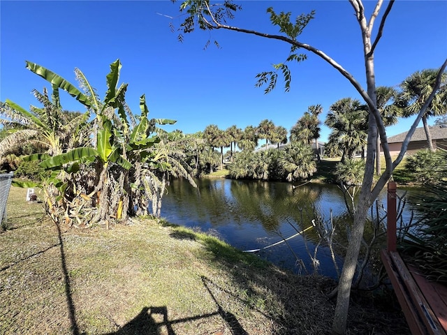 water view