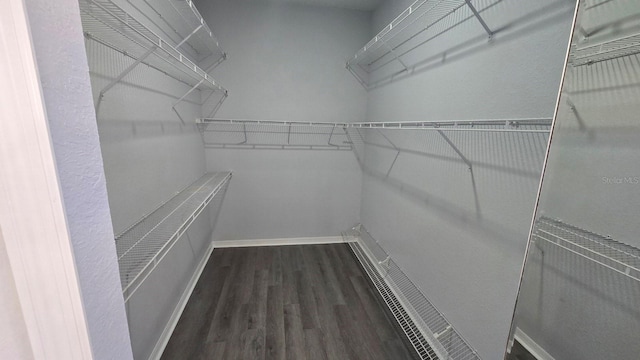 spacious closet featuring dark wood-type flooring