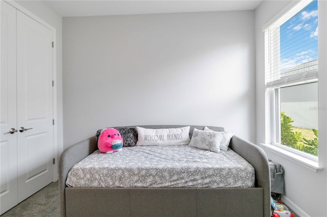 carpeted bedroom with multiple windows