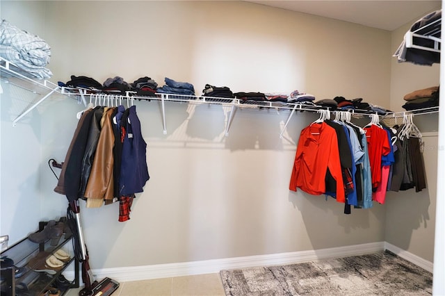 3393 Kacher Rd, North Port, FL 34288 - view of spacious closet