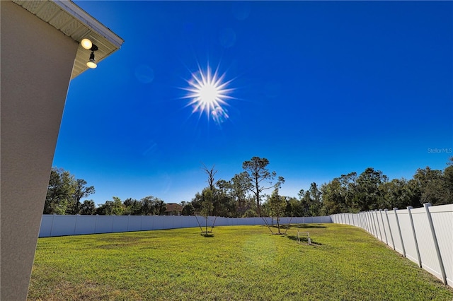 3393 Kacher Rd, North Port, FL 34288 - view of yard