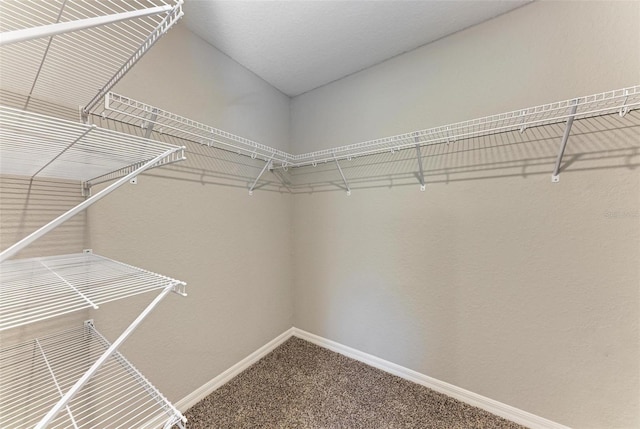 spacious closet featuring carpet floors