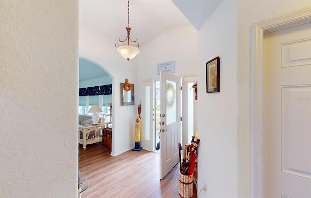 entrance foyer with vaulted ceiling and light hardwood / wood-style flooring