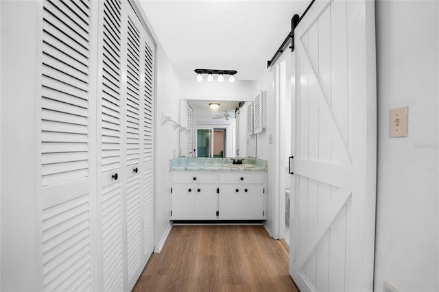 bathroom with wood-type flooring and vanity