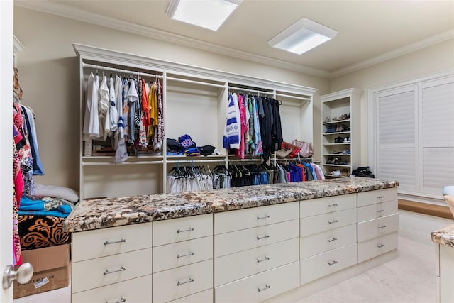 view of spacious closet