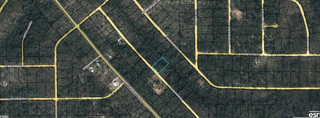 00 Papaya Dr, Marianna FL, 32448 land for sale