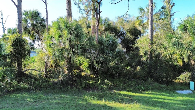 Emporia Ter, North Port FL, 34286 land for sale