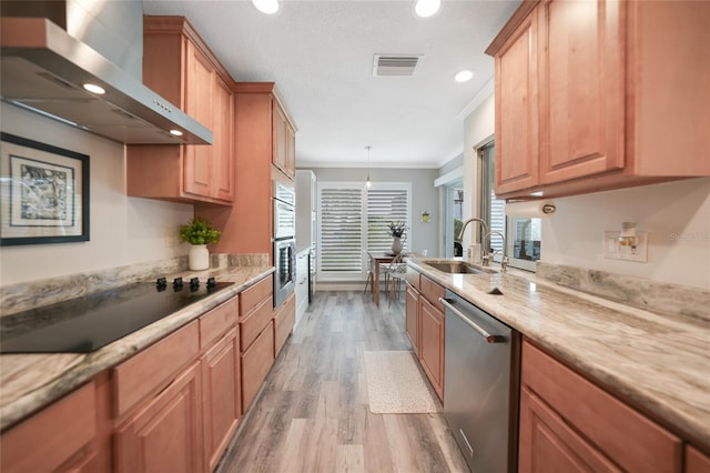 kitchen featuring crown molding, sink, light hardwood / wood-style flooring, wall chimney exhaust hood, and appliances with stainless steel finishes