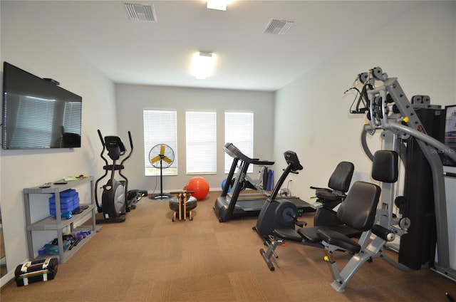 workout room featuring carpet