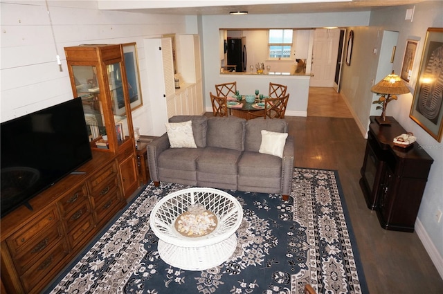 living room featuring wood-type flooring