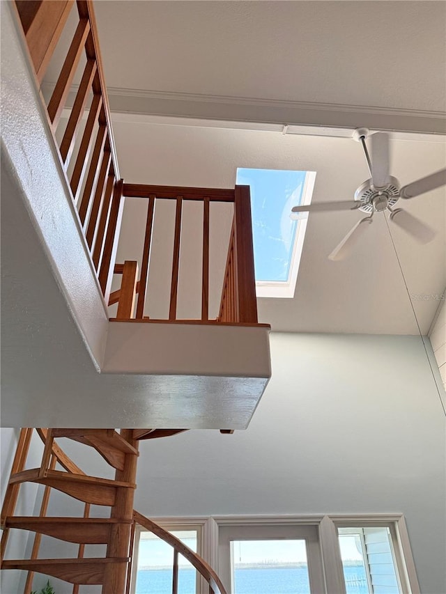 stairs with ceiling fan and a healthy amount of sunlight