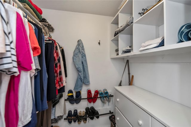 view of spacious closet