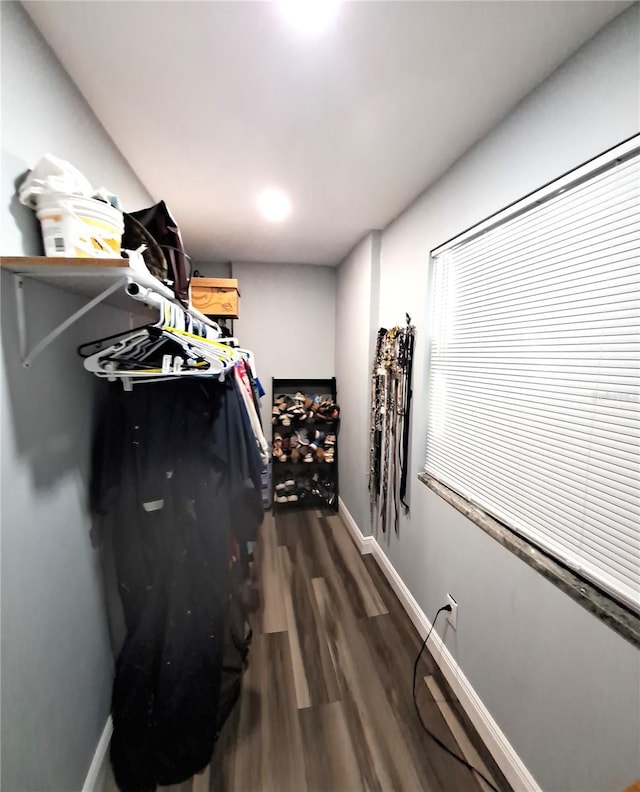 spacious closet featuring dark hardwood / wood-style floors