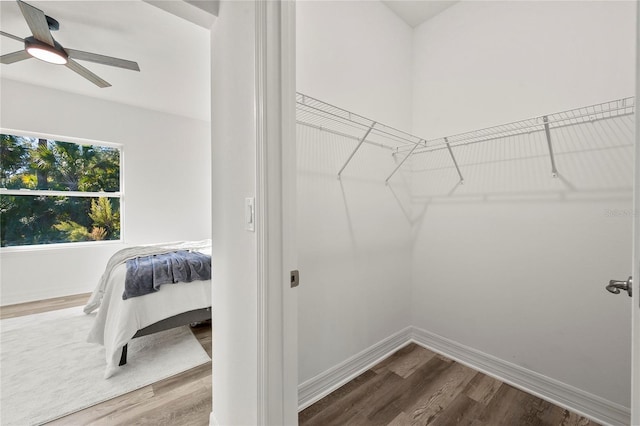 walk in closet featuring ceiling fan and wood-type flooring