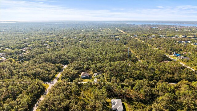 14059 Gailwood Ave, Port Charlotte, FL 33953 - photo 40