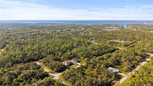 14059 Gailwood Ave, Port Charlotte, FL 33953 - photo 41