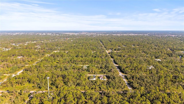 14059 Gailwood Ave, Port Charlotte, FL 33953 - photo 42