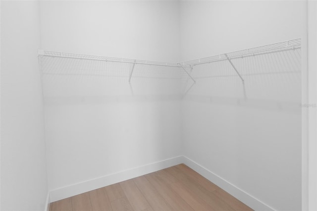 spacious closet featuring hardwood / wood-style floors