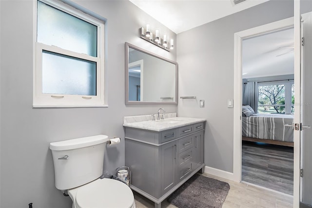 bathroom featuring vanity, toilet, and wood-type flooring