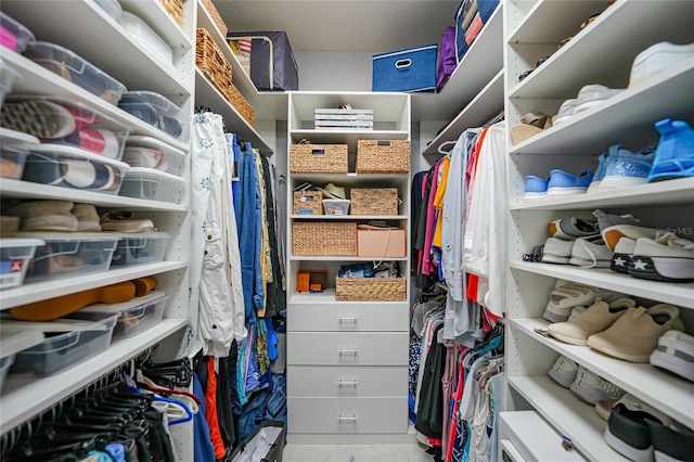 view of spacious closet