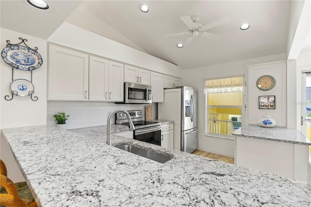 kitchen with kitchen peninsula, a healthy amount of sunlight, and appliances with stainless steel finishes