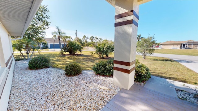 view of yard featuring a patio