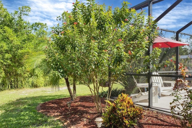 view of yard featuring glass enclosure