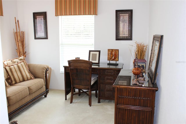 view of carpeted office