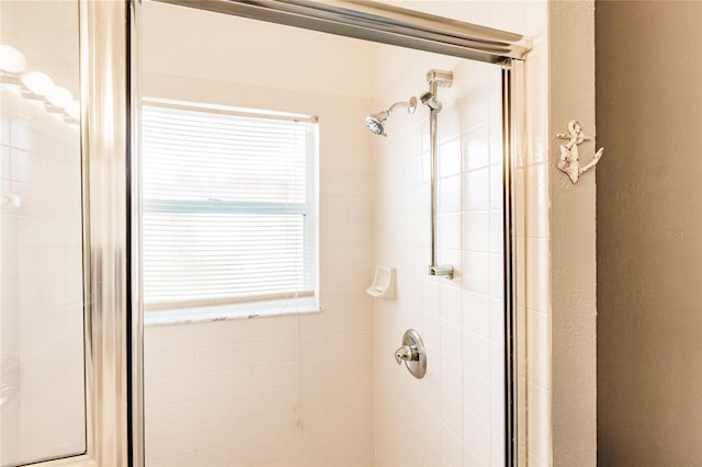 bathroom featuring a shower with shower door