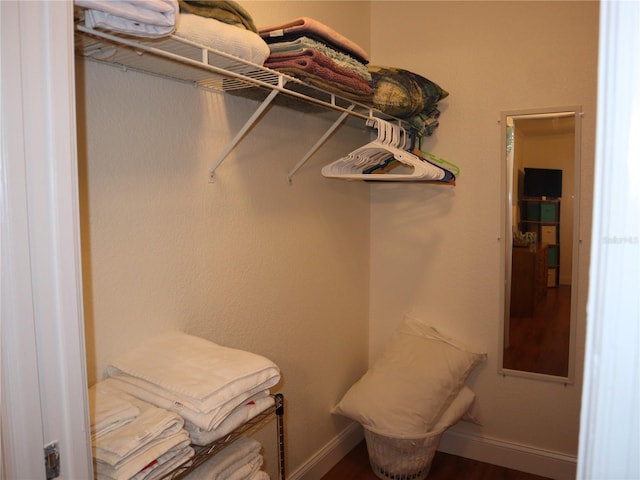 spacious closet with wood-type flooring