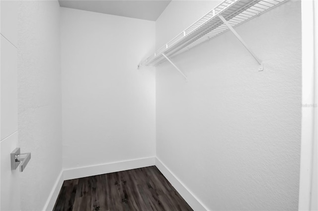 spacious closet featuring hardwood / wood-style flooring